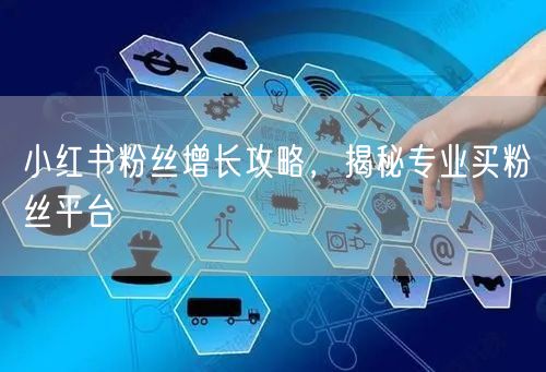 小红书粉丝增长攻略，揭秘专业买粉丝平台