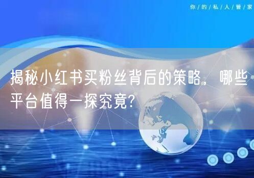 揭秘小红书买粉丝背后的策略，哪些平台值得一探究竟?