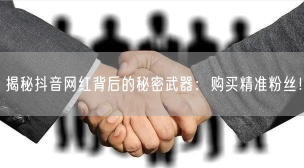 揭秘抖音网红背后的秘密武器：购买精准粉丝！