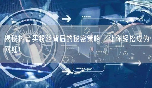 揭秘抖音买粉丝背后的秘密策略，让你轻松成为网红！