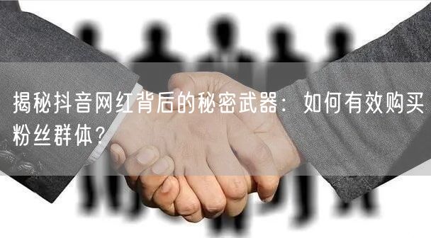 揭秘抖音网红背后的秘密武器：如何有效购买粉丝群体？