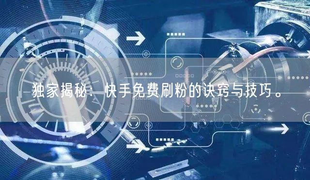 独家揭秘：快手免费刷粉的诀窍与技巧。