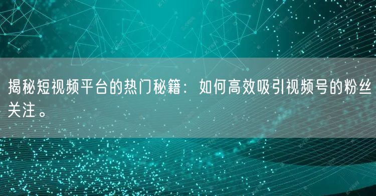 揭秘短视频平台的热门秘籍：如何高效吸引视频号的粉丝关注。