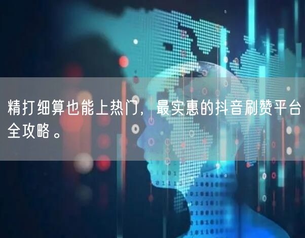 精打细算也能上热门，最实惠的抖音刷赞平台全攻略。