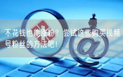 不花钱也能涨粉？尝试这些购买视频号粉丝的方法吧！