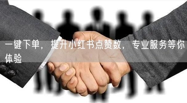 一键下单，提升小红书点赞数，专业服务等你体验