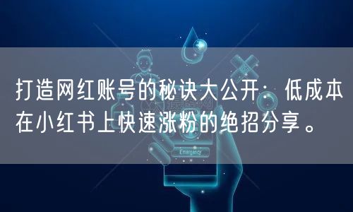 打造网红账号的秘诀大公开：低成本在小红书上快速涨粉的绝招分享。