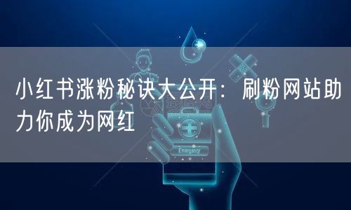 小红书涨粉秘诀大公开：刷粉网站助力你成为网红