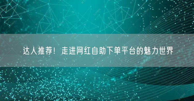 达人推荐！走进网红自助下单平台的魅力世界