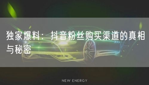 独家爆料：抖音粉丝购买渠道的真相与秘密