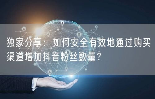 独家分享：如何安全有效地通过购买渠道增加抖音粉丝数量？