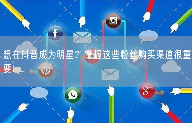 想在抖音成为明星？掌握这些粉丝购买渠道很重要！