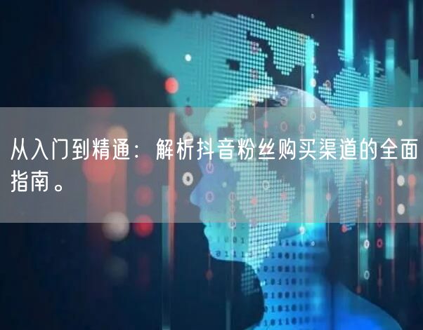 从入门到精通：解析抖音粉丝购买渠道的全面指南。