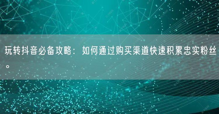 玩转抖音必备攻略：如何通过购买渠道快速积累忠实粉丝。