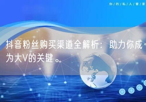 抖音粉丝购买渠道全解析：助力你成为大V的关键。