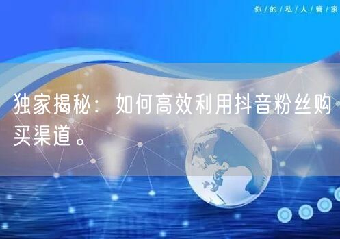 独家揭秘：如何高效利用抖音粉丝购买渠道。