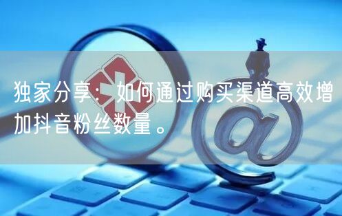 独家分享：如何通过购买渠道高效增加抖音粉丝数量。
