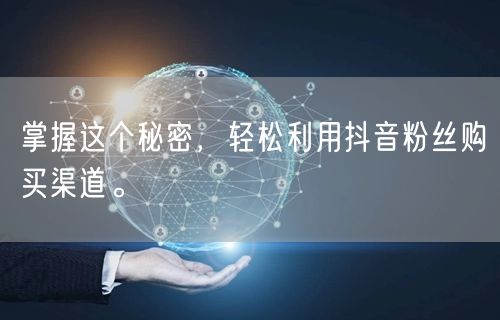 掌握这个秘密，轻松利用抖音粉丝购买渠道。