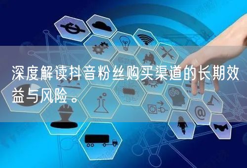 深度解读抖音粉丝购买渠道的长期效益与风险。