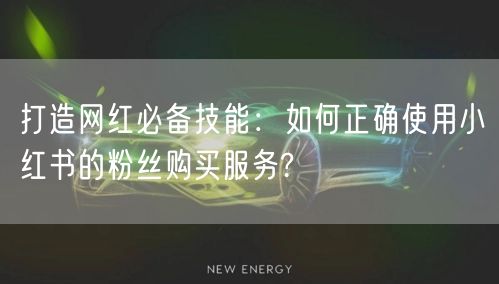 打造网红必备技能：如何正确使用小红书的粉丝购买服务?