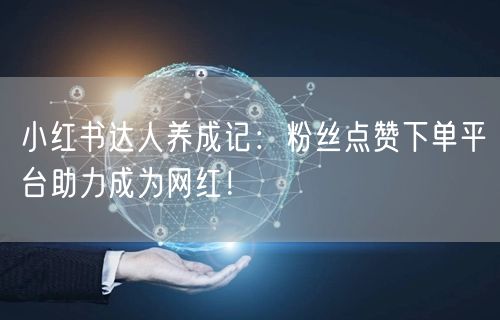 小红书达人养成记：粉丝点赞下单平台助力成为网红！