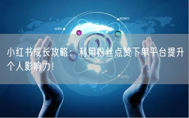 小红书成长攻略：利用粉丝点赞下单平台提升个人影响力！