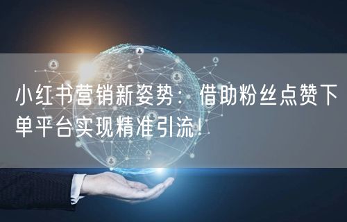 小红书营销新姿势：借助粉丝点赞下单平台实现精准引流！