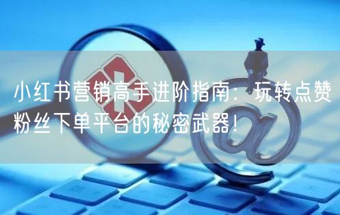 小红书营销高手进阶指南：玩转点赞粉丝下单平台的秘密武器！