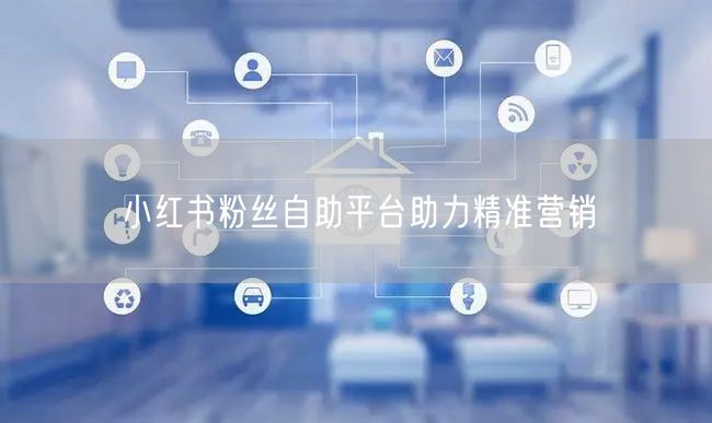 小红书粉丝自助平台助力精准营销