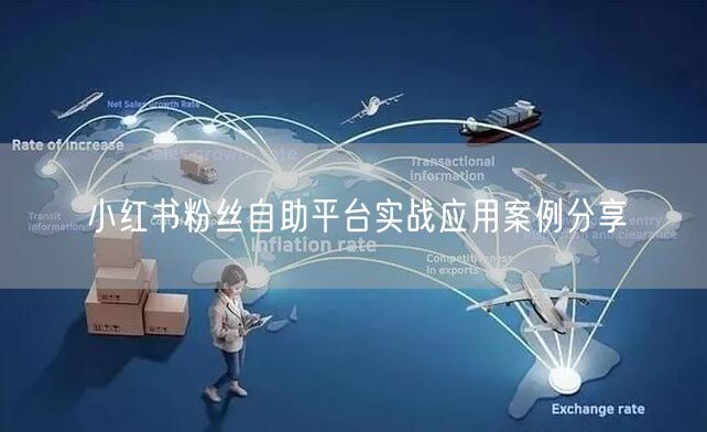 小红书粉丝自助平台实战应用案例分享