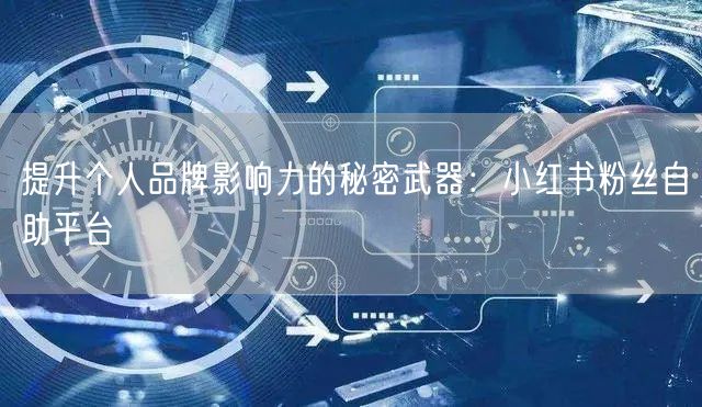 提升个人品牌影响力的秘密武器：小红书粉丝自助平台