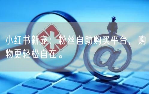 小红书新宠：粉丝自助购买平台，购物更轻松自在。