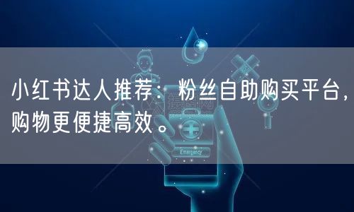 小红书达人推荐：粉丝自助购买平台，购物更便捷高效。