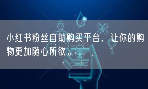 小红书粉丝自助购买平台，让你的购物更加随心所欲。